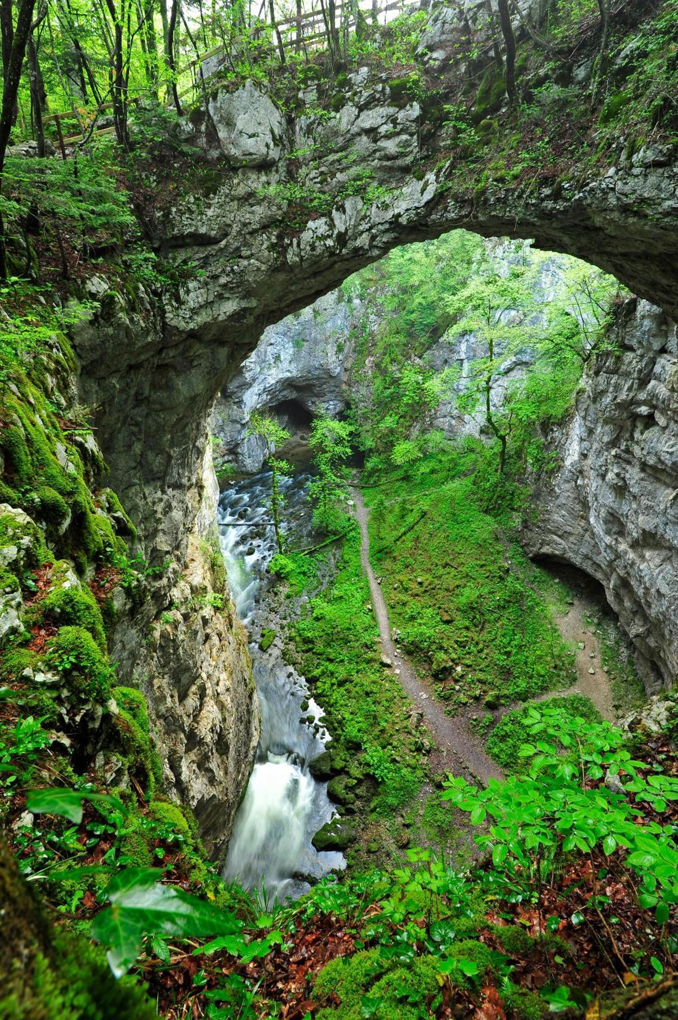 Hisa Zdravega Oddiha Daire Begunje pri Cerknici Dış mekan fotoğraf